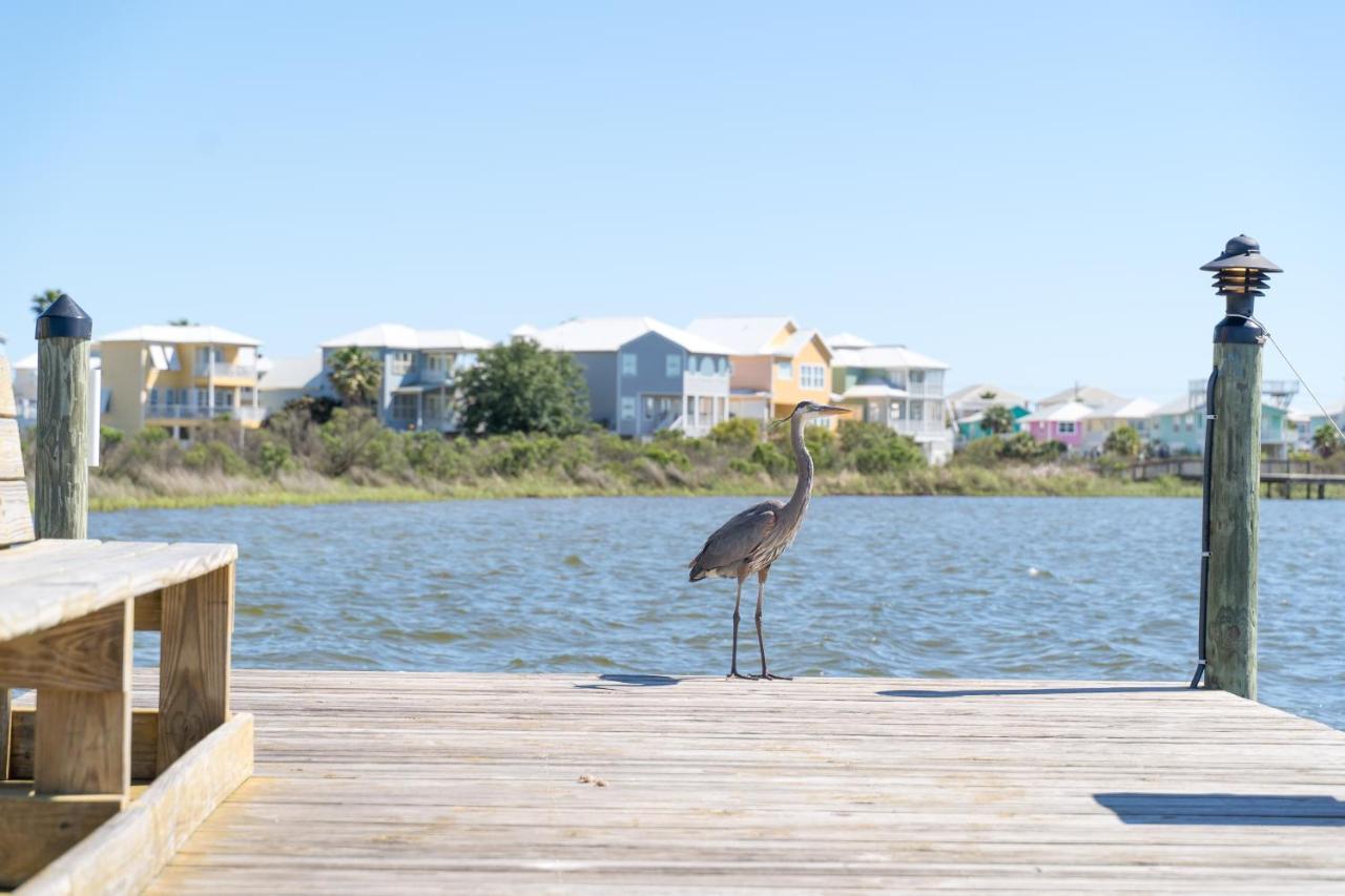 Compass Point 310 Apartman Gulf Shores Kültér fotó